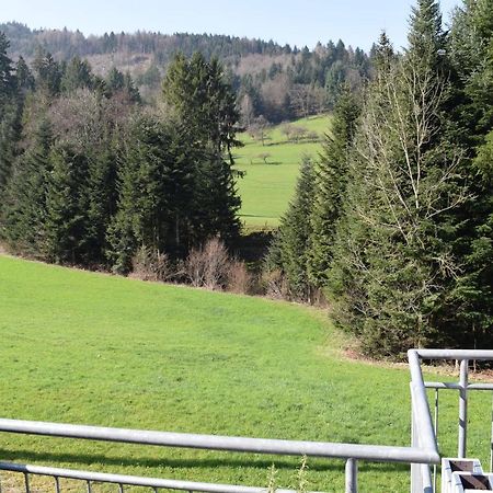Ferienwohnung Im Dettenbachtal Waldkirch Eksteriør billede