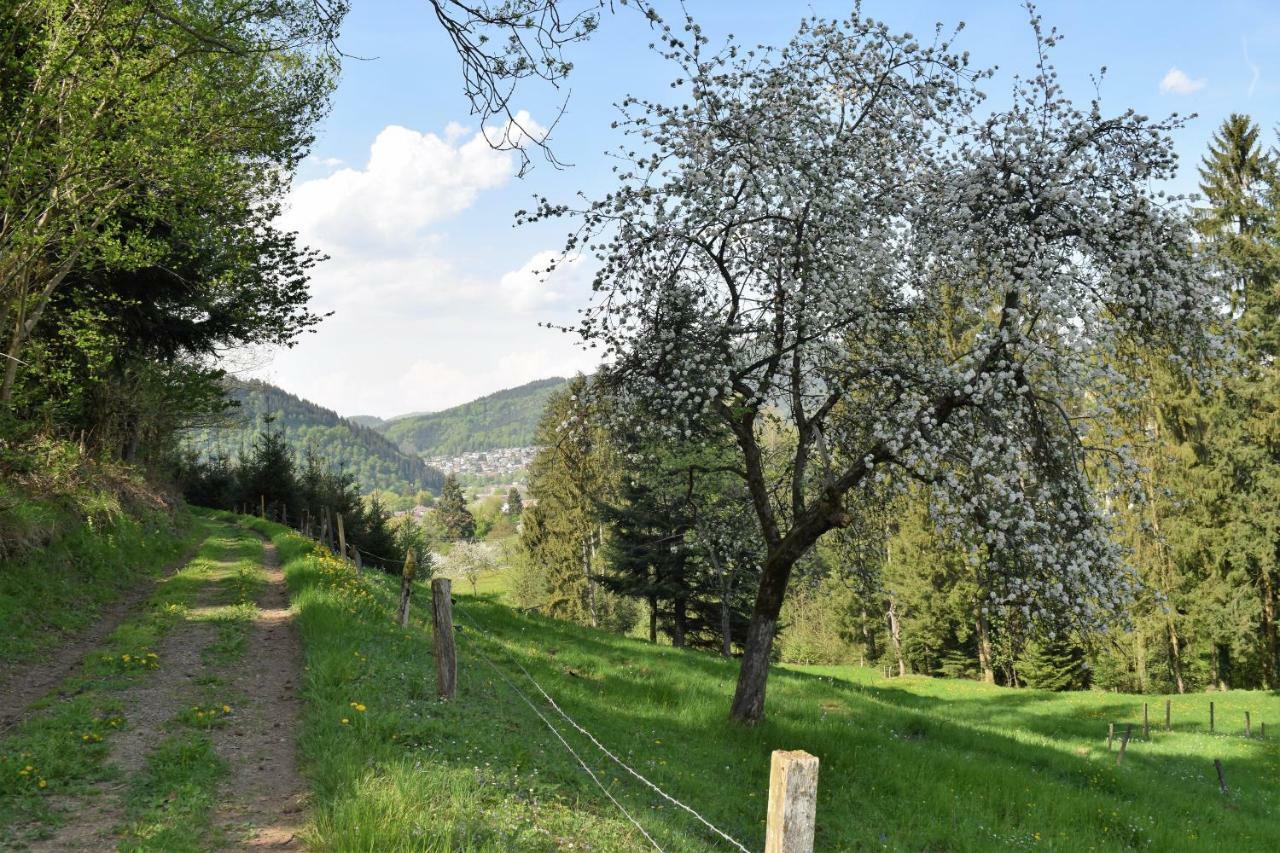 Ferienwohnung Im Dettenbachtal Waldkirch Eksteriør billede