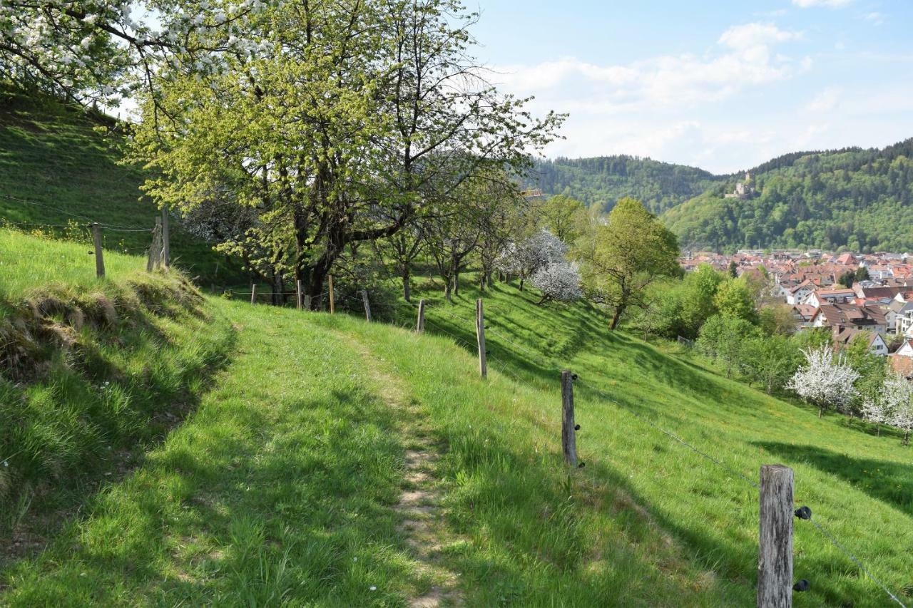 Ferienwohnung Im Dettenbachtal Waldkirch Eksteriør billede