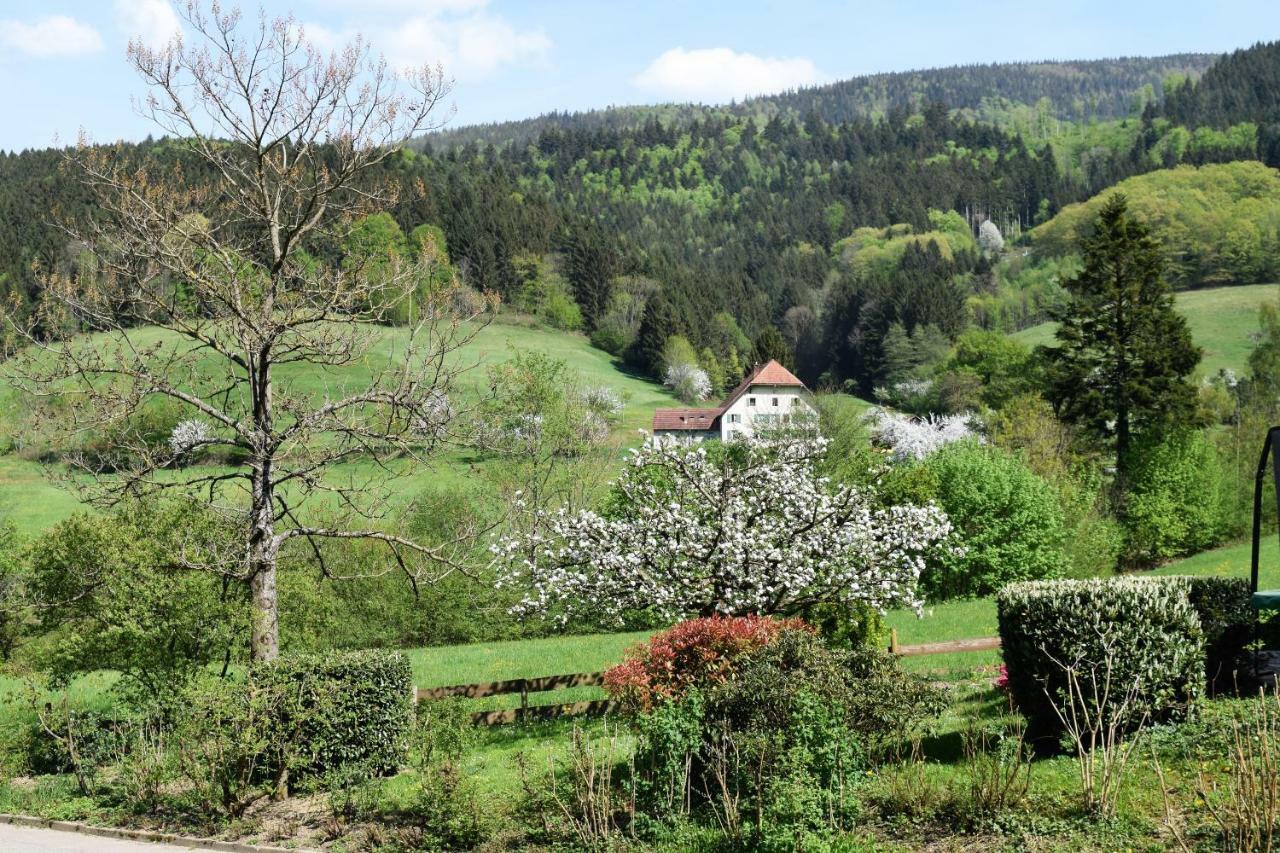 Ferienwohnung Im Dettenbachtal Waldkirch Eksteriør billede